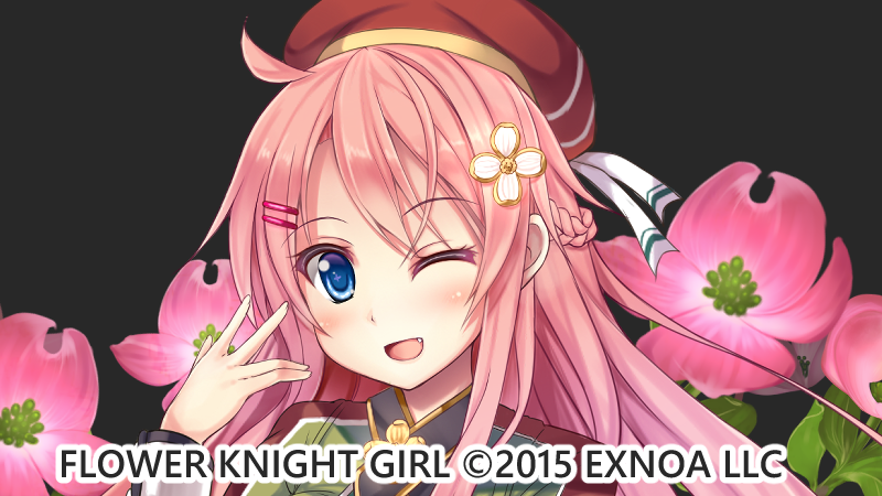 ハナミズキ