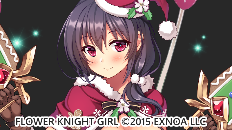 ナイトフロックス(クリスマス)